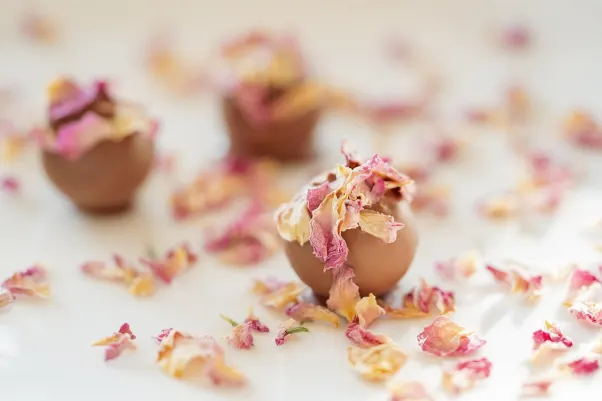 Casino Rocket Slots Android/iOS-app